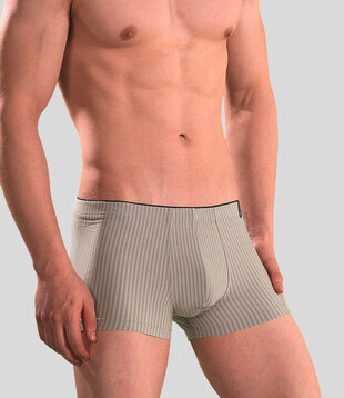 Schiesser Low Rise Boxershort 047 Modal Brown