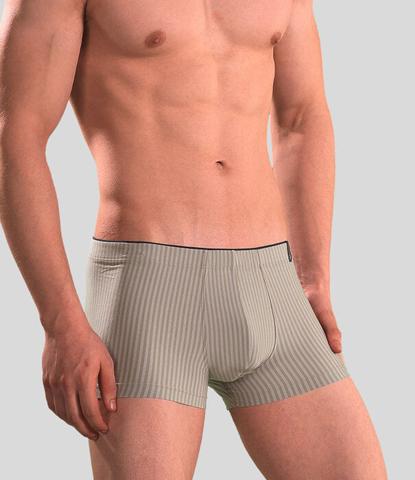 Schiesser Low Rise Boxershort 047 Modal Multi Bruin (451)