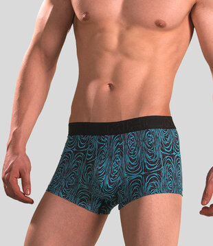 Hom Trunk 716 Colin Blue