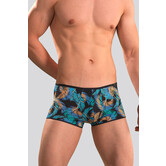 Hom Trunk Temptation 718 Chico Blue