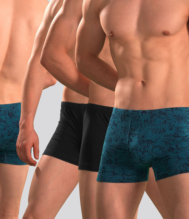 Schiesser Boxershort 3-Pack 216 Organic Cotton Blue/Black