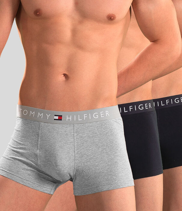 Tommy Hilfiger Trunk 3-Pack 181 WB TH Original Grau/Blau