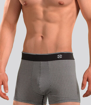 Hom Comfort Boxer Brief 630 Silvester Multi Grijs (301)