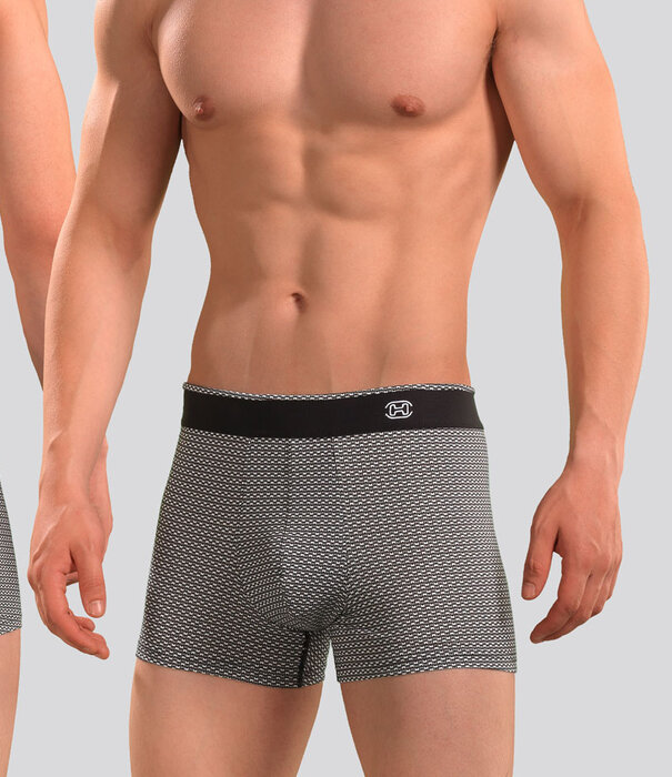 Hom Comfort Boxer Brief 630 Silvester Multi Grijs (301)