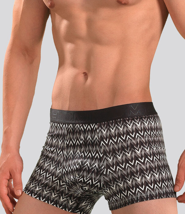 Hom Boxer Brief 645 Jerry Multi Grijs (301)