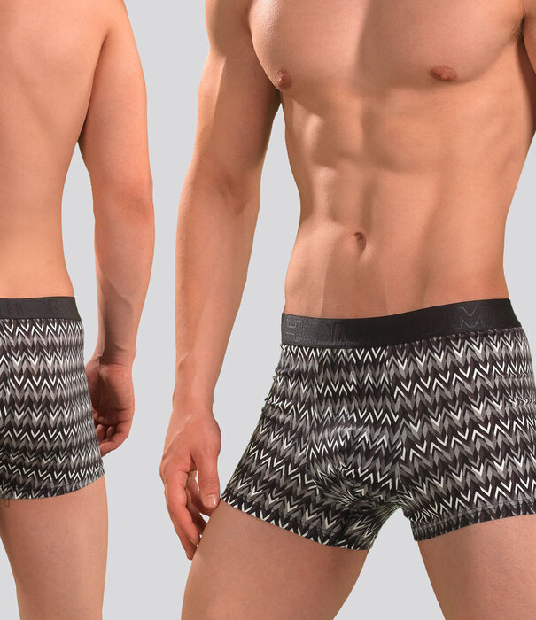 Hom Boxer Brief 645 Jerry Multi Grijs (301)