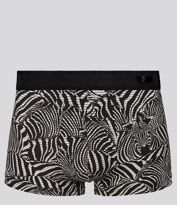 Hom Comfort Boxer Brief 544 Marty Schwarz