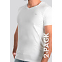 Diesel Michael V-Neck T-Shirt 2-Pack LDAS Weiß