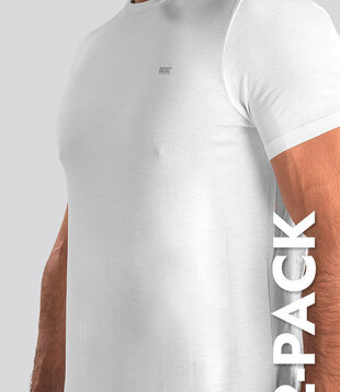 Diesel Randal Round Neck T-Shirt 2-Pack LDAS Wit
