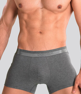 Hom Classic Boxer Brief 203 Grijs