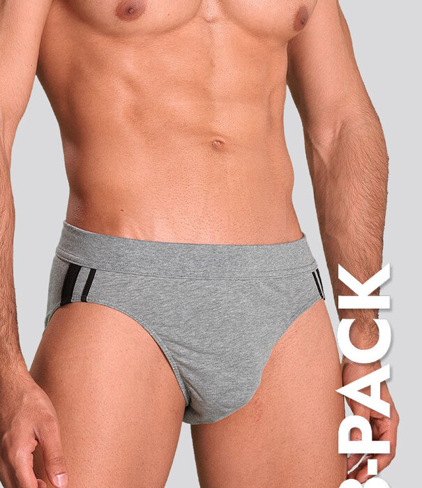 Schiesser 95/5 Organic Cotton Rio Slip 3-Pack 815 Grau
