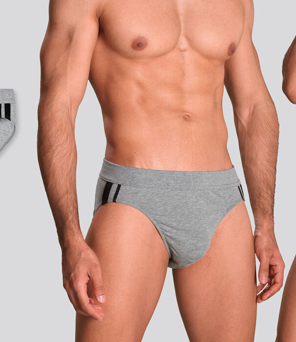 Schiesser 95/5 Organic Cotton Rio Slip 3-Pack 815 Grau