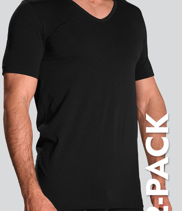 Schiesser 95/5 Organic Cotton V-Neck T-Shirt 2-Pack 982 Zwart