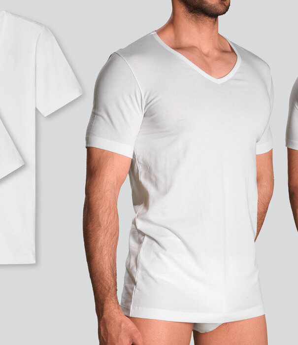 Schiesser 95/5 Organic Cotton V-Neck T-Shirt 2-Pack 982 Wit