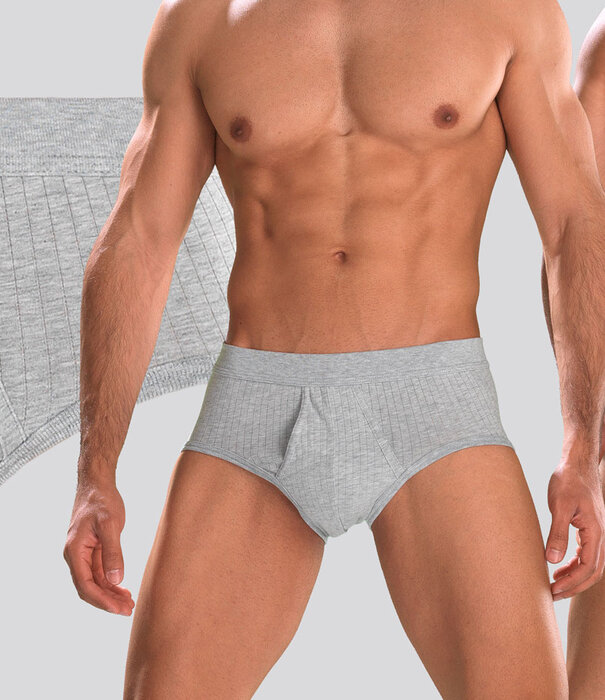 Schiesser Authentic Sport Slip 2-Pack 000 Grau