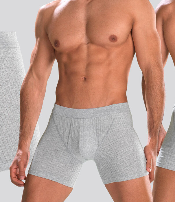 Schiesser Authentic Boxershort 2-Pack 399 Grau