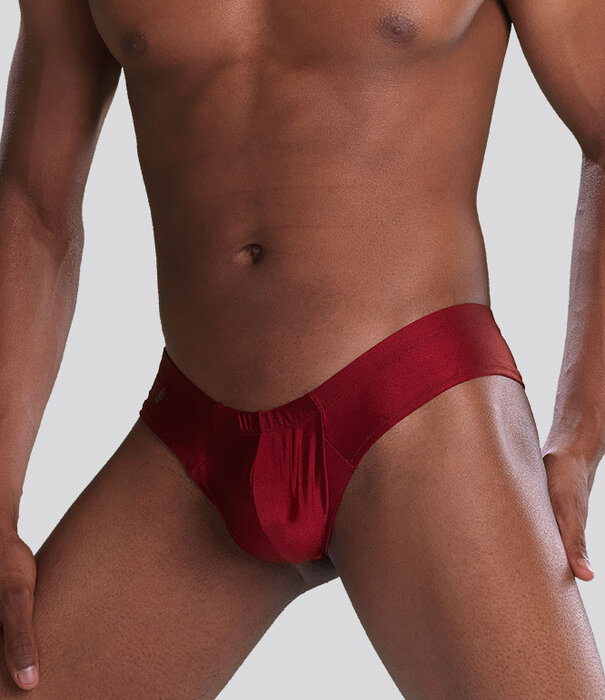 Joe Snyder Shining Mini Cheek 22 Burgunderrot