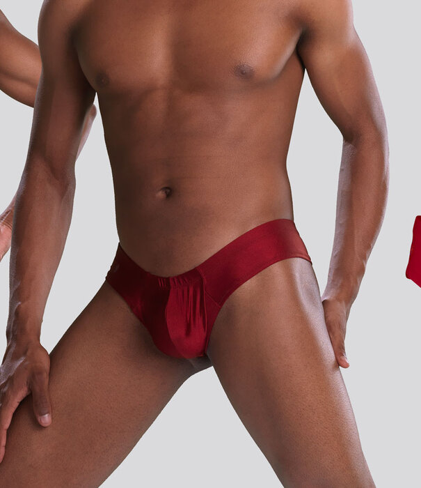 Joe Snyder Shining Mini Cheek 22 Bordeaux (156)