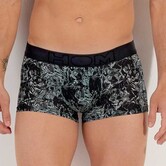 HOM Trunk Tigers