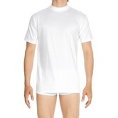 HOM tee-shirt crew neck Harro wit
