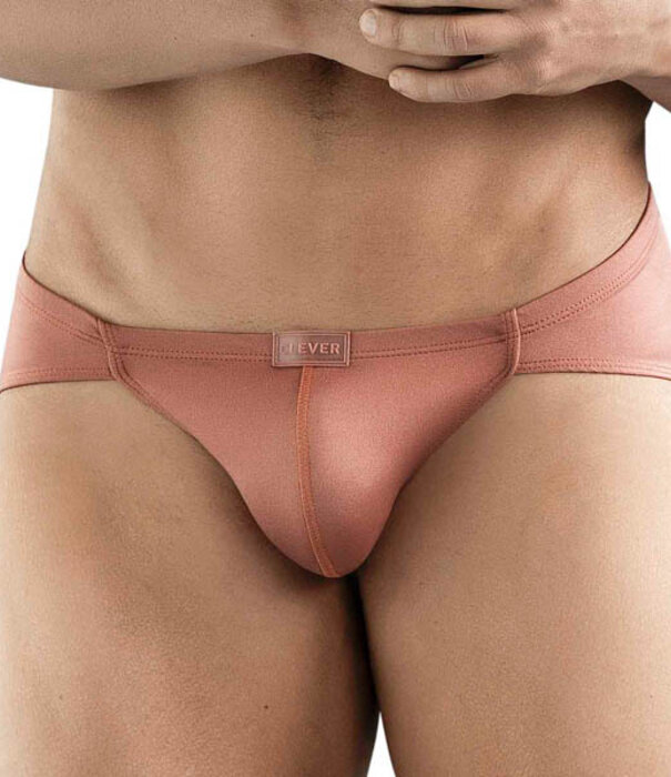 Clever celestial brief
