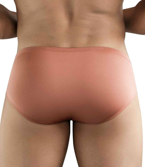 Clever celestial brief
