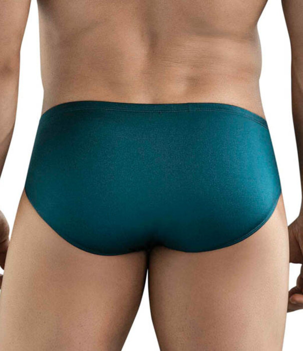 Clever celestial brief