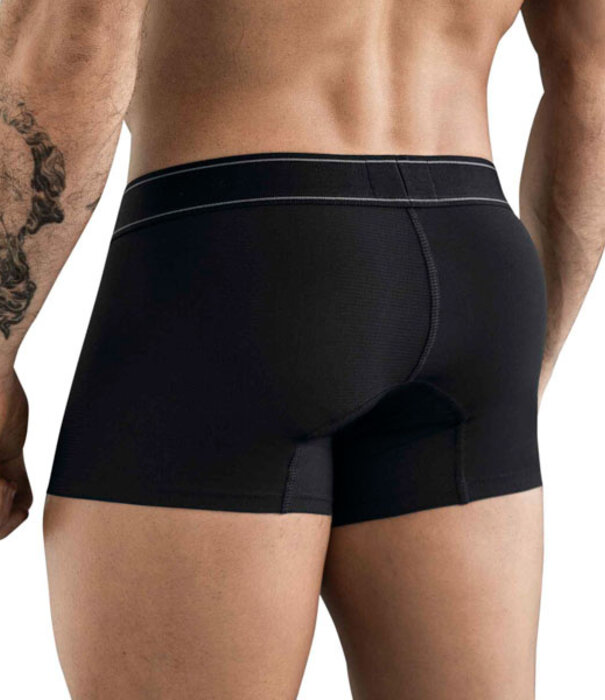 Clever berna boxers