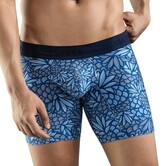 Clever pineapple long boxers