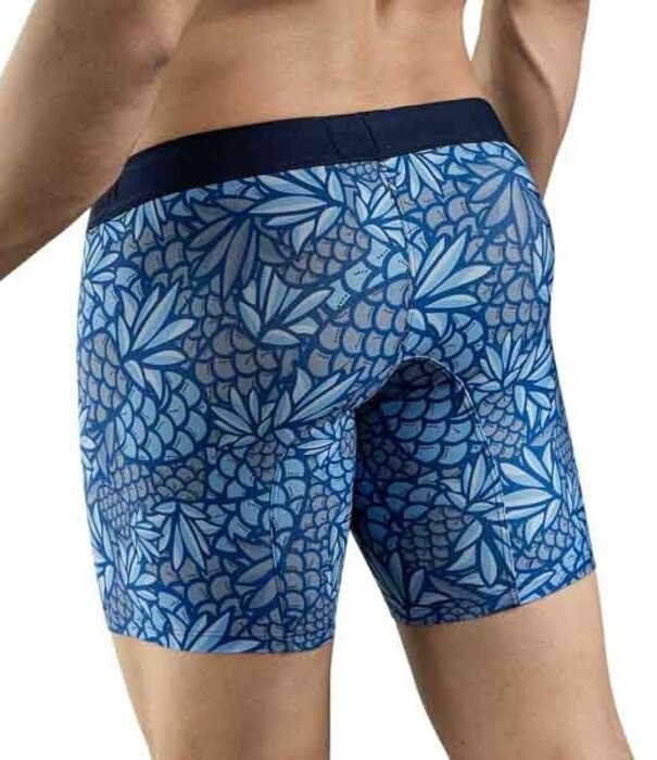 Clever pineapple long boxers