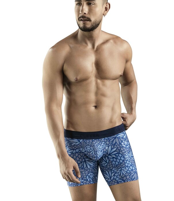 Clever pineapple long boxers