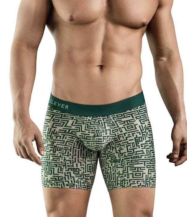 Clever qr long Boxershorts