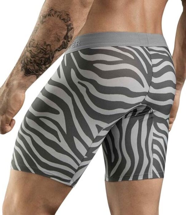 Clever cebra long boxers