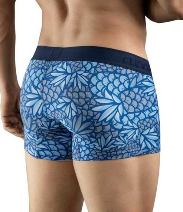 Clever pineapple boxers