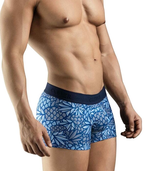 Clever pineapple boxers
