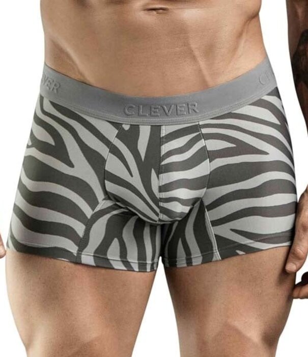 Clever cebra boxers