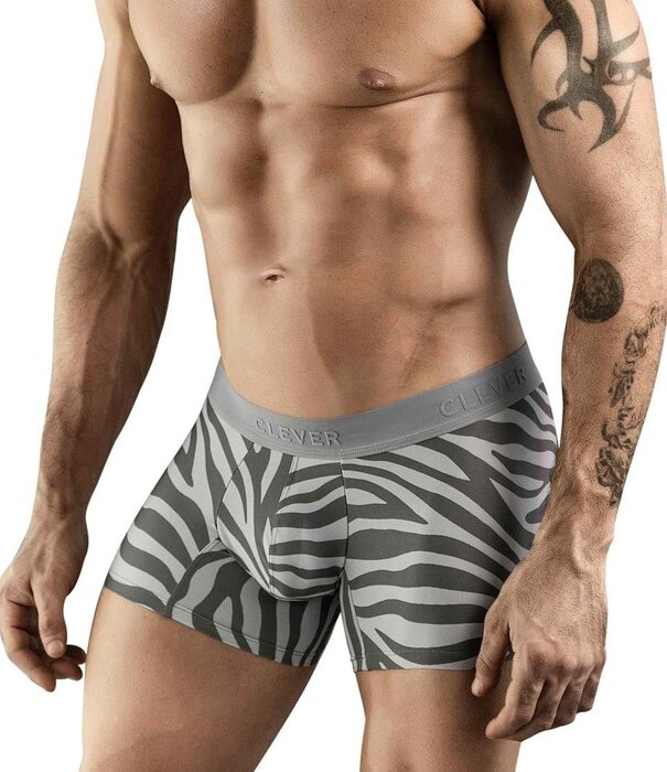 Clever cebra boxers