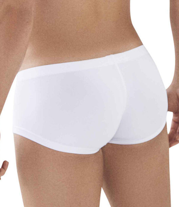 Clever clever latin boxershort