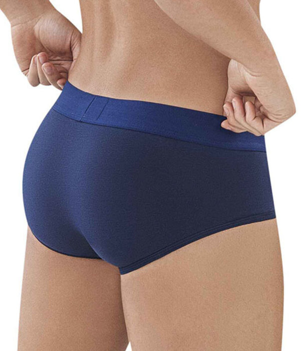 Clever caribbean piping brief