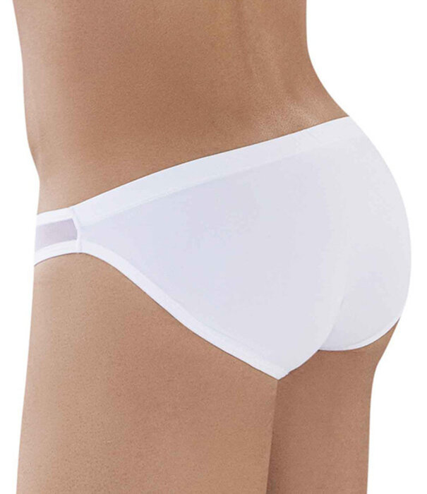 Clever origen latin brief