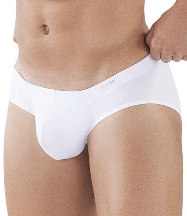Clever clever latin brief