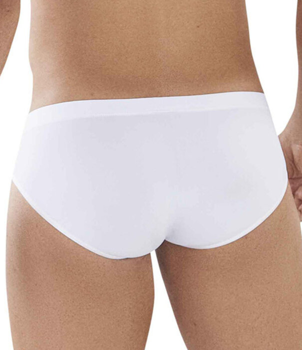 Clever clever latin brief