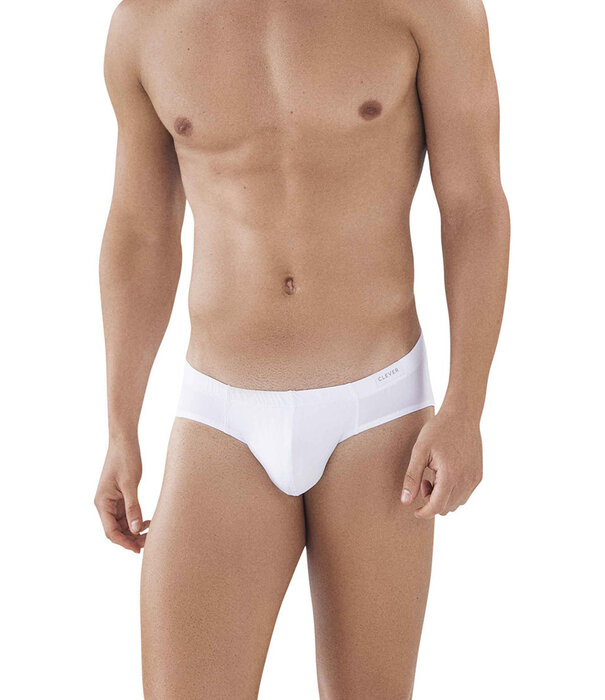 Clever clever latin brief