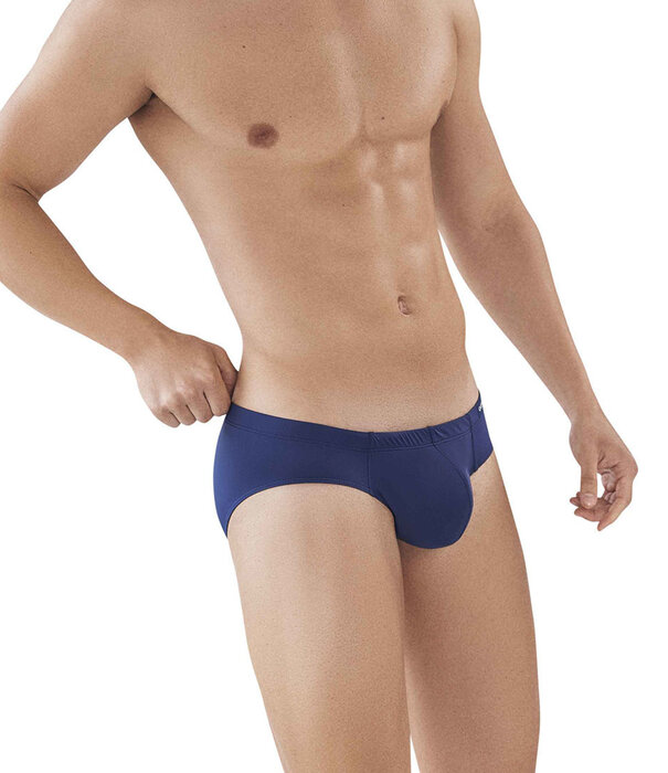 Clever clever latin brief