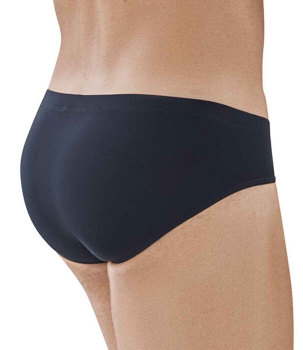 Clever clever latin brief