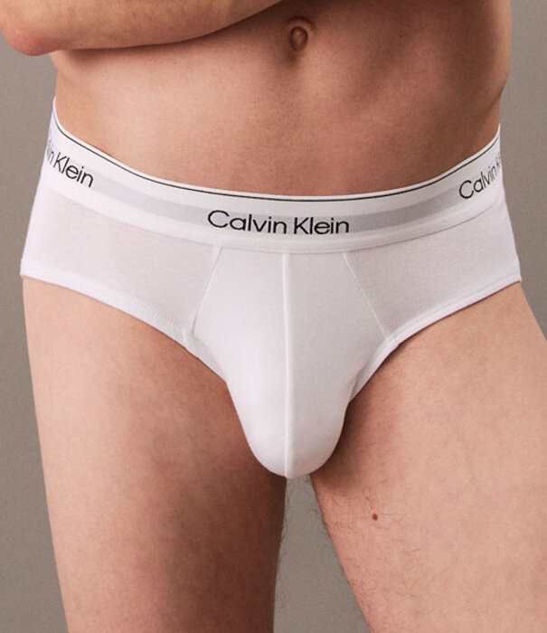 Calvin Klein Hip Brief 3-pack, 100