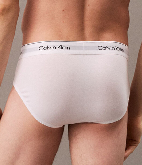 Calvin Klein Hip Brief 3-pack, 100