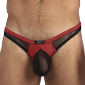 Gregg Homme X-rated maximiser thong
