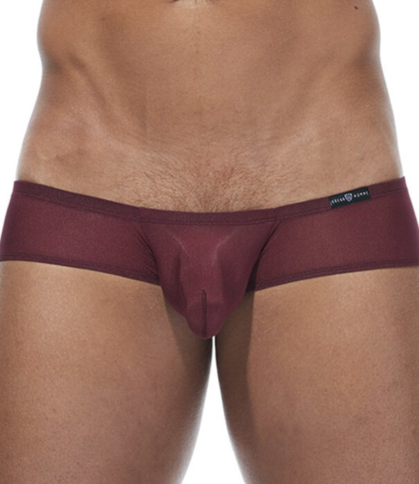 Gregg Homme Torridz boxer brief