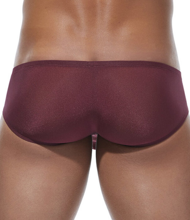 Gregg Homme Torridz boxer brief
